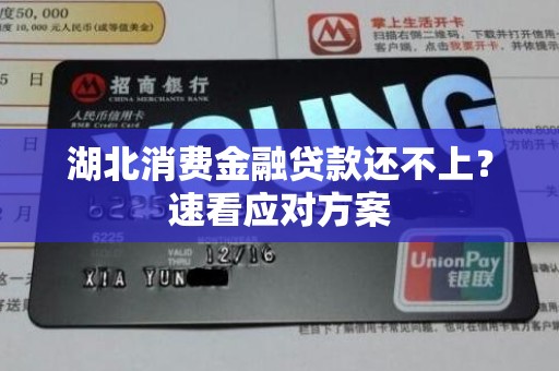 湖北消费金融贷款还不上?速看应对方案