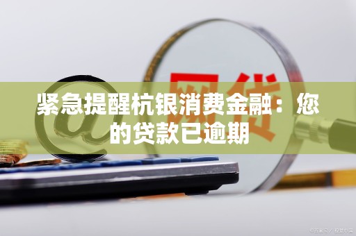 紧急提醒杭银消费金融:您的贷款已逾期