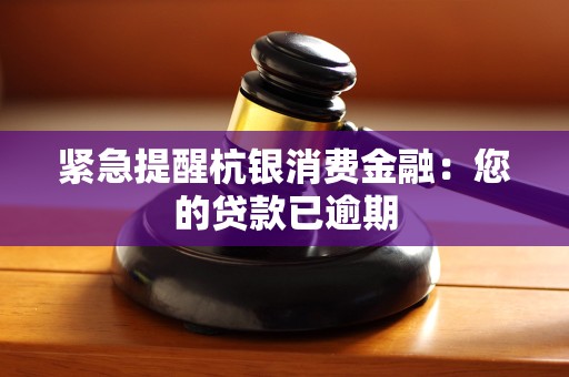 紧急提醒杭银消费金融：您的贷款已逾期