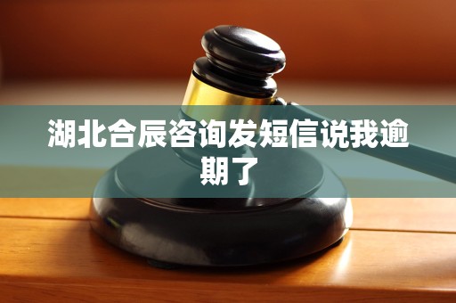 湖北合辰咨询发短信说我逾期了