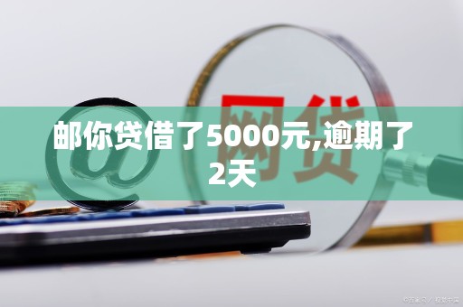 邮你贷借了5000元,逾期了2天