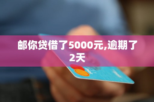 邮你贷借了5000元,逾期了2天