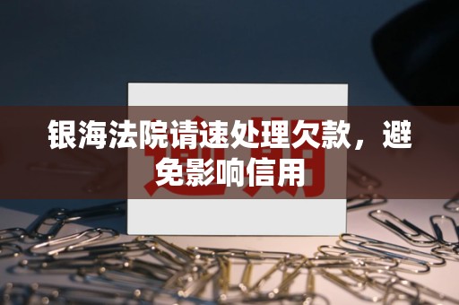 银海法院请速处理欠款,避免影响信用