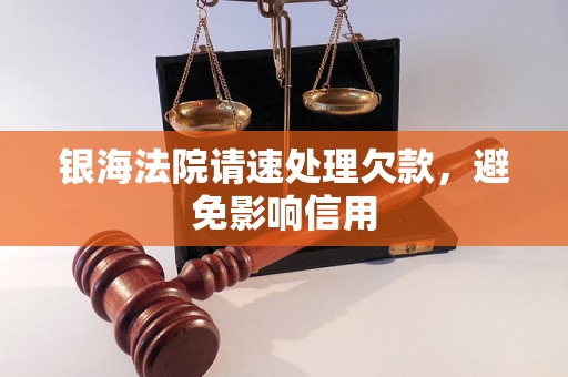 银海法院请速处理欠款,避免影响信用