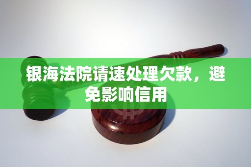 银海法院请速处理欠款,避免影响信用
