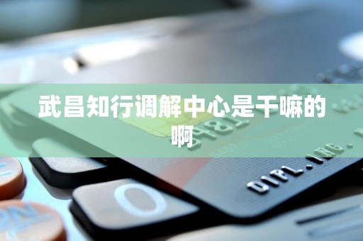 武昌知行调解中心是干嘛的啊