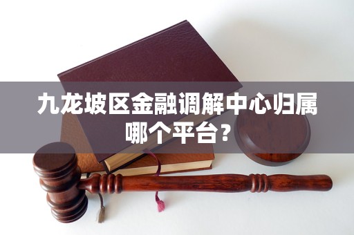 九龙坡区金融调解中心归属哪个平台?