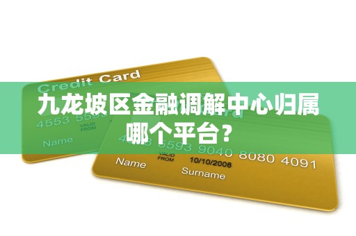 九龙坡区金融调解中心归属哪个平台?