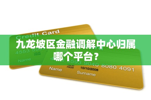 九龙坡区金融调解中心归属哪个平台?