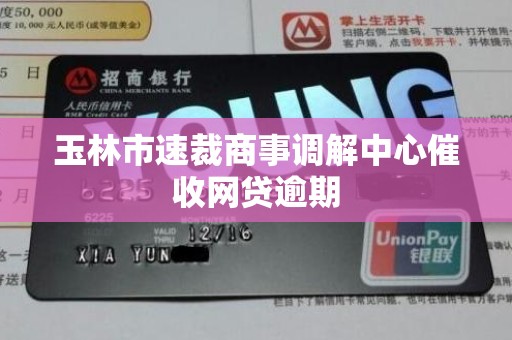 玉林市速裁商事调解中心催收网贷逾期