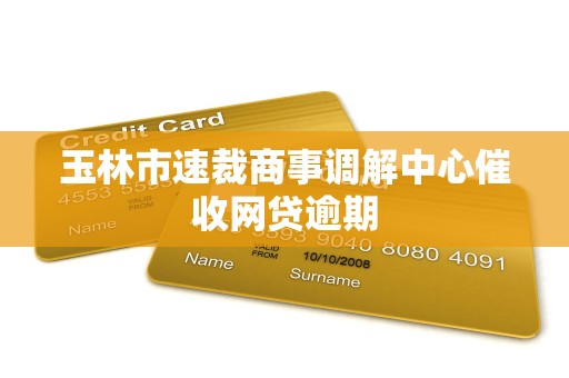 玉林市速裁商事调解中心催收网贷逾期