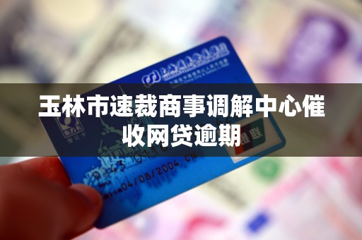 玉林市速裁商事调解中心催收网贷逾期