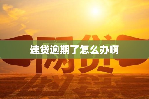 速贷逾期了怎么办啊