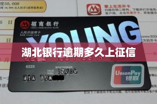 湖北银行逾期多久上征信