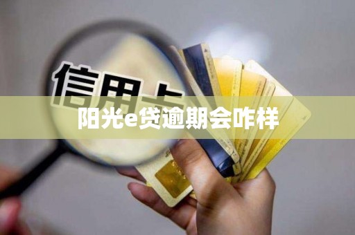 阳光e贷逾期会咋样