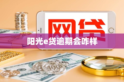 阳光e贷逾期会咋样