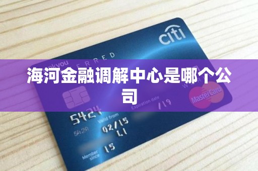 海河金融调解中心是哪个公司