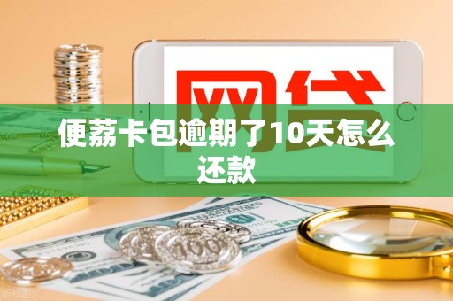 便荔卡包逾期了10天怎么还款