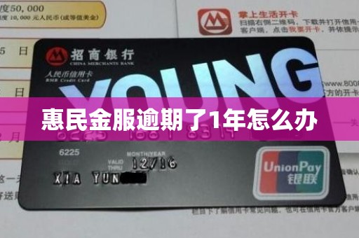 惠民金服逾期了1年怎么办