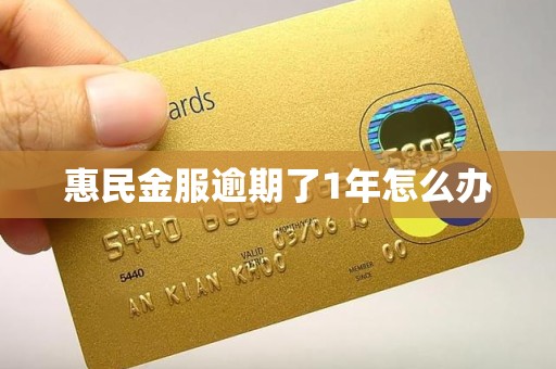 惠民金服逾期了1年怎么办