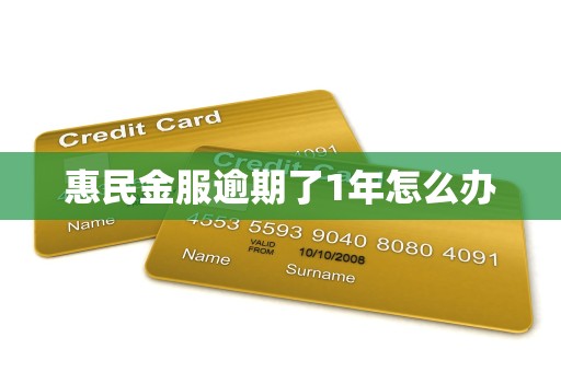惠民金服逾期了1年怎么办