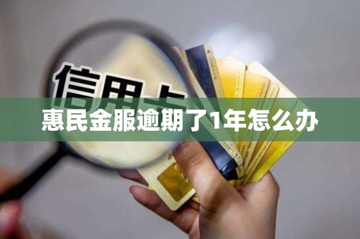 惠民金服逾期了1年怎么办