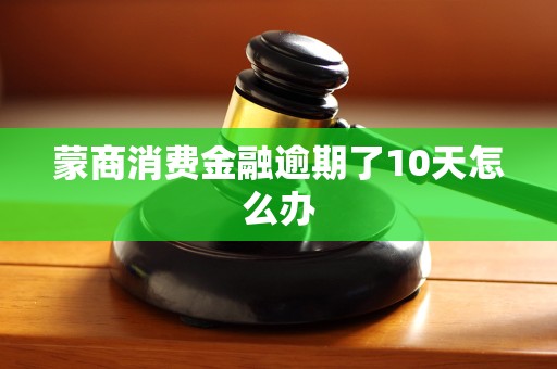 蒙商消费金融逾期了10天怎么办