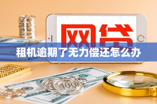 租机逾期了无力偿还怎么办