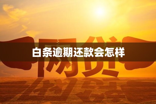 白条逾期还款会怎样