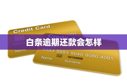 白条逾期还款会怎样