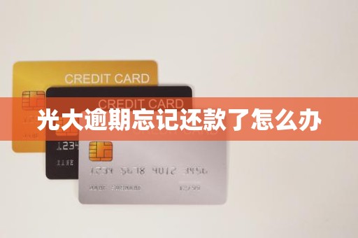 光大逾期忘记还款了怎么办