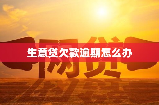 生意贷欠款逾期怎么办