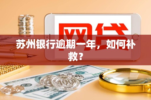 苏州银行逾期一年,如何补救?