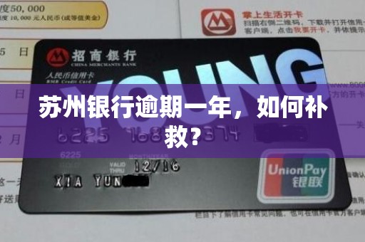 苏州银行逾期一年,如何补救?