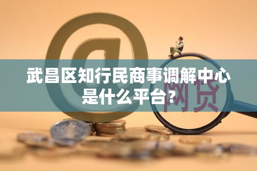武昌区知行民商事调解中心是什么平台?