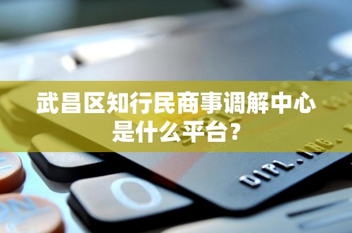 武昌区知行民商事调解中心是什么平台?