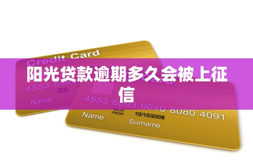 阳光贷款逾期多久会被上征信