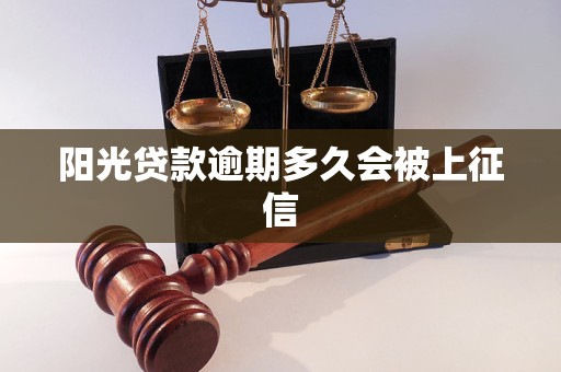 阳光贷款逾期多久会被上征信