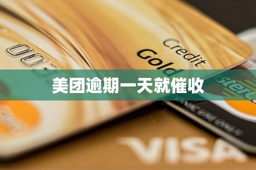 美团逾期一天就催收