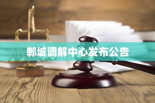郸城调解中心发布公告