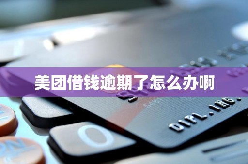 美团借钱逾期了怎么办啊