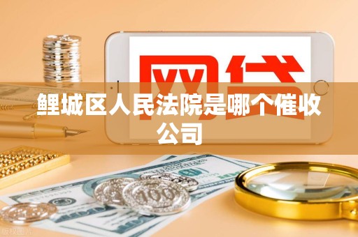 鲤城区人民法院是哪个催收公司