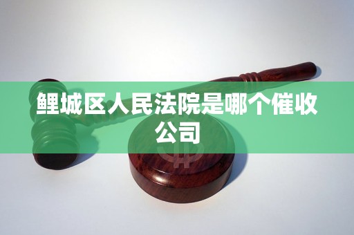 鲤城区人民法院是哪个催收公司