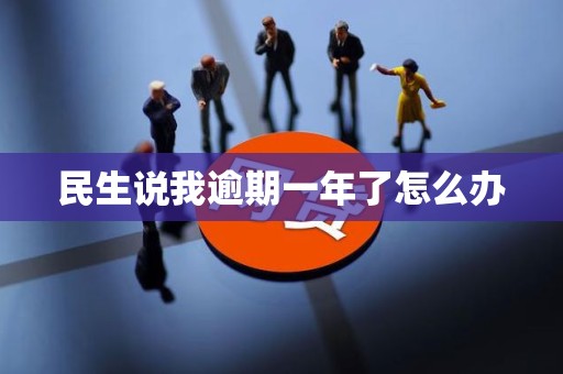 民生说我逾期一年了怎么办