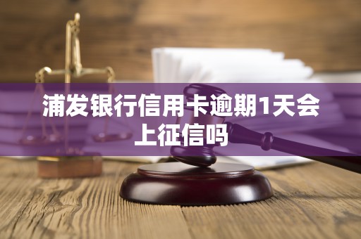 浦发银行信用卡逾期1天会上征信吗