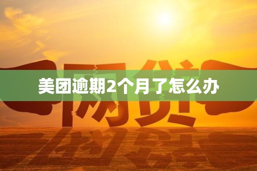 美团逾期2个月了怎么办