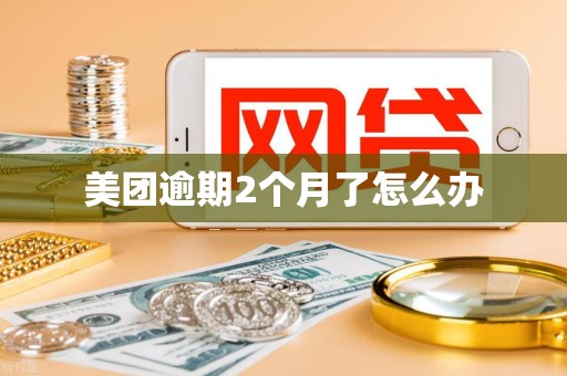 美团逾期2个月了怎么办