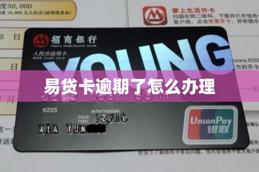 易贷卡逾期了怎么办理