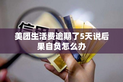 美团生活费逾期了5天说后果自负怎么办