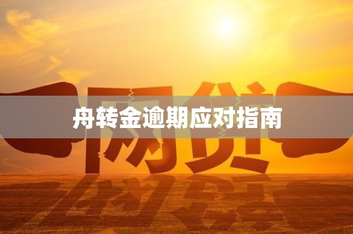 舟转金逾期应对指南